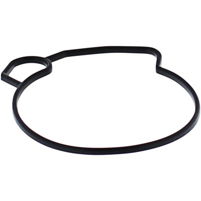 Garnitură pentru camera de plutitor MSE MOOSE RACING 46-5001