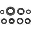 Set de semeringuri MOOSE RACING 822181MSE