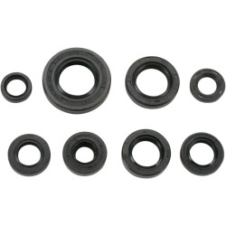 Set de semeringuri MOOSE RACING 822181MSE Set de semeringuri MOOSE RACING 822181MSE