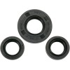 Set de semeringuri MOOSE RACING 822246MSE