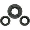Set de semeringuri MOOSE RACING 822246MSE Set de semeringuri MOOSE RACING 822246MSE thumb
