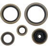 Set de simeringuri MOOSE RACING 822269MSE