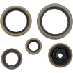 Set de simeringuri MOOSE RACING 822269MSE Set de simeringuri MOOSE RACING 822269MSE thumb