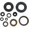 Set de semeringuri MOOSE RACING 822287MSE
