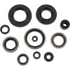 Set de semeringuri MOOSE RACING 822288MSE