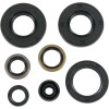 Set de semeringuri MOOSE RACING 822291MSE