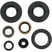 Set de semeringuri MOOSE RACING 822291MSE Set de semeringuri MOOSE RACING 822291MSE thumb