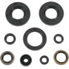 Set de semeringuri MOOSE RACING 822292MSE