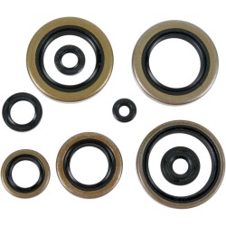 Set de simeringuri MOOSE RACING 822295MSE Set de simeringuri MOOSE RACING 822295MSE