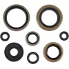 Set de semeringuri MOOSE RACING 822296MSE