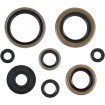 Set de semeringuri MOOSE RACING 822296MSE Set de semeringuri MOOSE RACING 822296MSE thumb