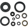Set de semeringuri MOOSE RACING 822298MSE