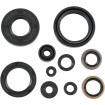 Set de semeringuri MOOSE RACING 822298MSE Set de semeringuri MOOSE RACING 822298MSE thumb
