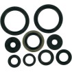 Set de semeringuri MOOSE RACING 822316MSE Set de semeringuri MOOSE RACING 822316MSE thumb