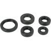 Set de semeringuri MOOSE RACING 822242MSE