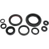 Set de semeringuri MOOSE RACING 822312MSE