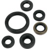 Set de semeringuri MOOSE RACING 822334MSE