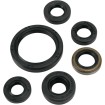 Set de semeringuri MOOSE RACING 822334MSE Set de semeringuri MOOSE RACING 822334MSE thumb