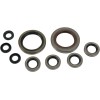 Set de semeringuri MOOSE RACING 822335MSE