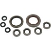 Set de semeringuri MOOSE RACING 822335MSE Set de semeringuri MOOSE RACING 822335MSE thumb