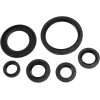 Set de simeringuri MOOSE RACING 822338MSE