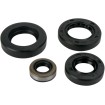 Set de simeringuri MOOSE RACING 822341MSE Set de simeringuri MOOSE RACING 822341MSE thumb