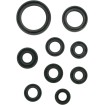 Set de semeringuri MOOSE RACING 822319MSE Set de semeringuri MOOSE RACING 822319MSE thumb