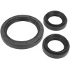 Set garnituri pentru diferențial față SEAL RUBBER MOOSE RACING 25-2044-5