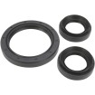 Set garnituri pentru diferențial față SEAL RUBBER MOOSE RACING 25-2044-5 Set garnituri pentru diferențial față SEAL RUBBER MOOSE RACING 25-2044-5 thumb