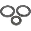 Set garnituri diferențial spate garnitură de cauciuc MOOSE RACING 25-2045-5 Set garnituri diferențial spate garnitură de cauciuc MOOSE RACING 25-2045-5 thumb