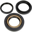 Set garnituri diferențial spate garnitură de cauciuc MOOSE RACING 25-2070-5 Set garnituri diferențial spate garnitură de cauciuc MOOSE RACING 25-2070-5 thumb