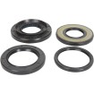 Set garnituri diferențial spate garnitură de cauciuc MOOSE RACING 25-2048-5 Set garnituri diferențial spate garnitură de cauciuc MOOSE RACING 25-2048-5 thumb