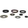 Set de simeringuri MOOSE RACING 822218MSE