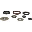 Set de simeringuri MOOSE RACING 822218MSE Set de simeringuri MOOSE RACING 822218MSE thumb