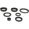 Set de semeringuri MOOSE RACING 822239MSE