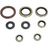 Set de simeringuri MOOSE RACING 822364MSE