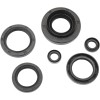 Set de semeringuri MOOSE RACING 822366MSE
