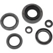 Set de semeringuri MOOSE RACING 822366MSE Set de semeringuri MOOSE RACING 822366MSE thumb