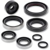 Set complet de garnituri de ulei MOOSE RACING 822264MSE