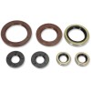 Set complet de garnituri de ulei MOOSE RACING 822372MSE