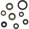 Set complet de garnituri de ulei MOOSE RACING 822485MSE