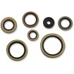 Set complet de garnituri de ulei MOOSE RACING 822976MSE Set complet de garnituri de ulei MOOSE RACING 822976MSE thumb