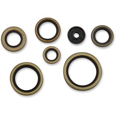 Set complet de garnituri de ulei MOOSE RACING 822976MSE