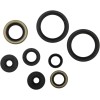 Set complet de garnituri de ulei MOOSE RACING 822977MSE