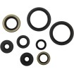 Set complet de garnituri de ulei MOOSE RACING 822977MSE Set complet de garnituri de ulei MOOSE RACING 822977MSE thumb
