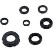 Set garnituri ulei motor HON MOOSE RACING 822219MSE thumb