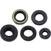 Set garnituri ulei KAW MOOSE RACING 822379MSE Set garnituri ulei KAW MOOSE RACING 822379MSE thumb