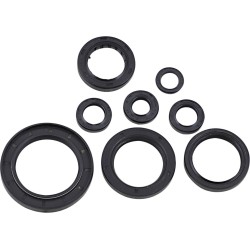 Set de semeringuri HON MOOSE RACING 822996MSE Set de semeringuri HON MOOSE RACING 822996MSE