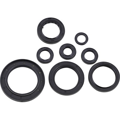 Set de semeringuri HON MOOSE RACING 822996MSE