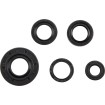 Set de semeringuri KTM SX 50 MOOSE RACING 822222MSE Set de semeringuri KTM SX 50 MOOSE RACING 822222MSE thumb